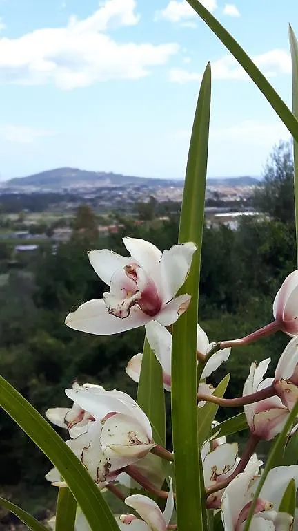 דירות Tortolì Il Panoramico איטליה